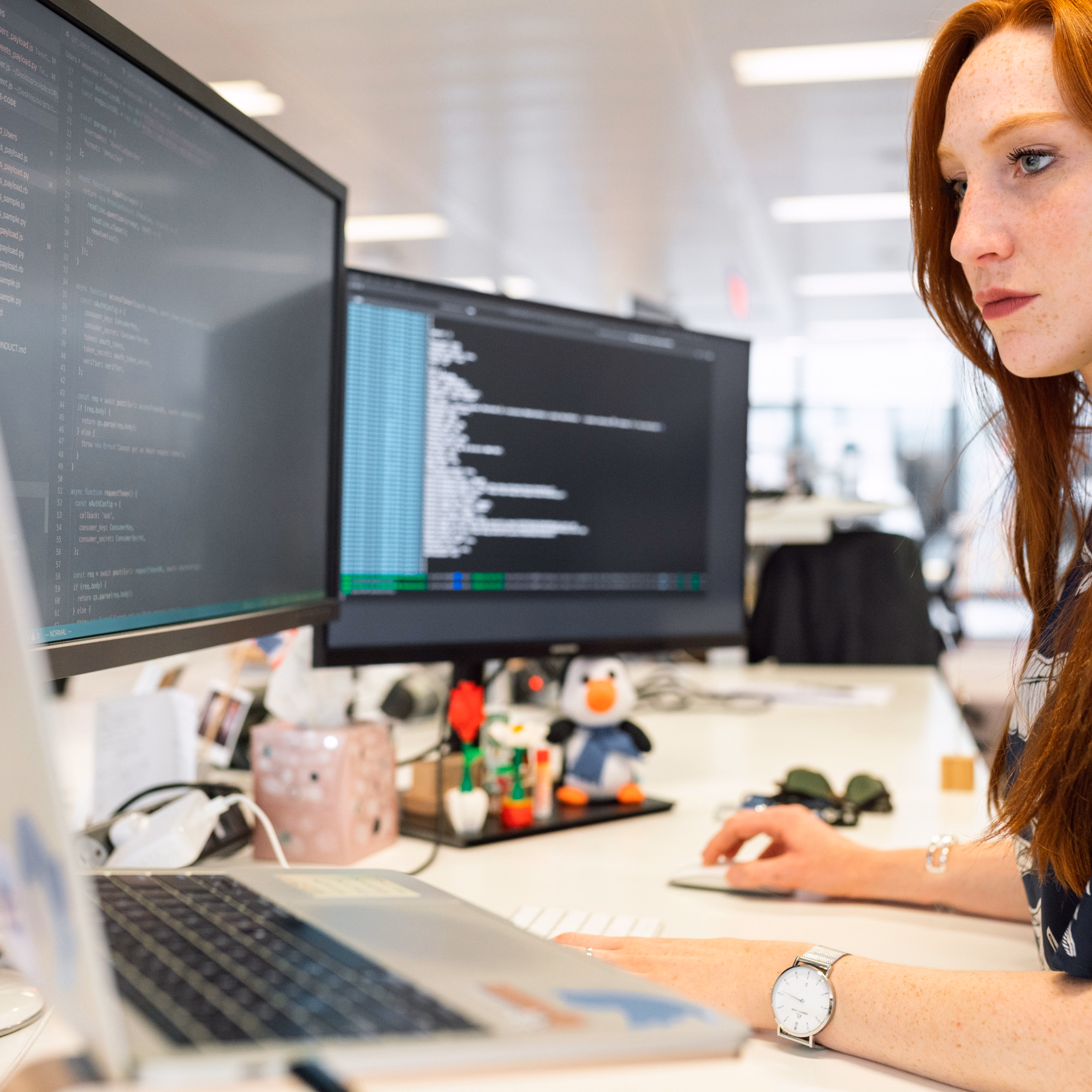 Web Development